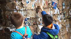 Dalla salvaguardia dell'ambiente al Metodo Rondine: sfoglia l'inserto Scuola & lavoro