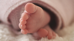 Cortona continua a perdere pezzi. Sempre meno abitanti, il rischio &egrave; scendere sotto i 20 mila residenti