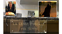 Cani abbaiano di notte, paese in subbuglio e il caso arriva in tribunale con cinque imputati accusati dai vicini