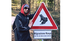 Volontari e cartelli in strada per salvare i rospi dalle auto