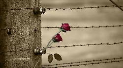 Giorno della Memoria: tutti gli eventi ad Arezzo e provincia