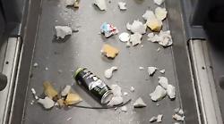 Bus di Autolinee Toscane vandalizzati. Telecamere visionate e denunce