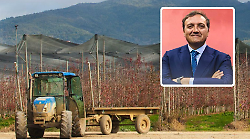 Due milioni di euro ai produttori di frutta e verdura. Marras: "Approvati tre programmi operativi"