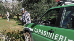 Incendi, veleni e traffici illegali: 72 mila controlli, migliaia di reati scoperti e la battaglia per difendere la Toscana 