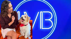 La Volta Buona grandi firme, da Claudio Cerasa a Massimo Gramellini. Poi Iva Zanicchi e Sanremo. Le anticipazioni
