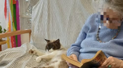 L'incredibile storia del gatto Coffe: investito, salvato e poi adottato dagli anziani del Centro diurno Malpighi