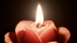 E' morta Rosangela Rosy Chieli, aveva 77 anni. L'Amministrazione: "Ha fatto la storia del dolce"