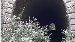 Ferrovia Arezzo-Fossato di Vico: crollano 4 gallerie