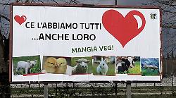 Manifesti pubblicitari per le strade di Arezzo per salvare gli animali