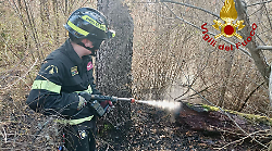 Fiamme nel bosco: intervento dei vigili del fuoco in una zona impervia
