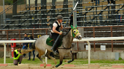 Super Rauco ad Ascoli, doppio podio al Torneo Storico Citt&agrave; della Quintana. Battuto solo dal fenomeno Innocenzi