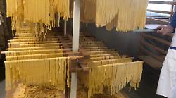 Il calendario delle sagre 2026: torna la Festa del fungo a Palazzo del Pero