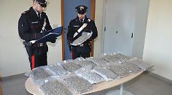 Aveva 7 chili e 300 grammi di marijuana nel bagagliaio: arrestato un 25enne