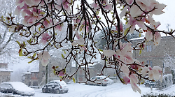 Neve a primavera: problemi sulle strade in Casentino e lungo la E45 nel tratto appenninico