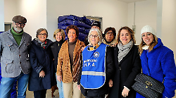 Trecento colonie feline con 3.400 gatti: cibo gratis a disposizione dei custodi al canile municipale