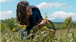Erbe spontanee commestibili, il Cai e l'esperta Cardia portano gli aretini sulle colline della citt&agrave; a riconoscerle