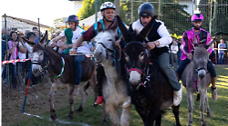 Quando a sfidarsi sono i somari: la Corsa delle micce a La Nave vinta da Montecchio