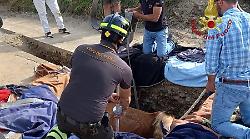 Arezzo, cavallo cade dentro una buca. Salvato dai vigili del fuoco