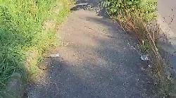 Se questo è un marciapiede... Cittadini lamentano incuria e abbandono lungo la Sr 71 in località Il Matto. Video