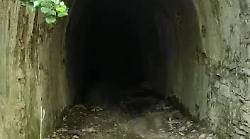 Sbuca il...treno dalla galleria della vecchia ferrovia che non c'&egrave; pi&ugrave;