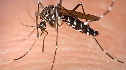 Nuovo caso di Dengue e il sindaco ordina la disinfestazione nella zona dell'ospedale