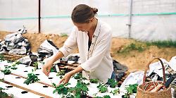 Agricoltura, dall’Ue strategia per ricambio generazionale