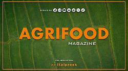 Agrifood Magazine - 19/11/2025