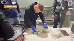 Sequestrati all'aeroporto di Malpensa oltre 18 mila farmaci illegali