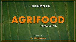 Agrifood Magazine - 24/12/2025