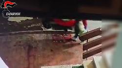 Omicidio nel Catanese, fermate due persone