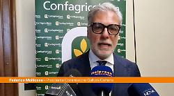 Mollicone "Leadership femminile fondamentale per tutelare l'agricoltura"