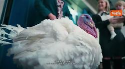 I tacchini Gobble e Waddle passeggiano in giardino Casa Bianca prima della cerimonia di grazia