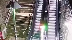 Cinghiali sbucano sulle scale mobili e si tuffano davanti alle persone: momenti di paura, il video