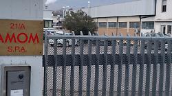 Amom a Badia al Pino