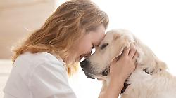 Cani e gatti riscrivono il concetto di famiglia. Perch&eacute; sempre pi&ugrave; italiani scelgono un animale domestico. Ma attenzione alle adozioni per impulso