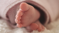 Cortona continua a perdere pezzi. Sempre meno abitati, il rischio &egrave; scendere sotto i 20 mila residenti