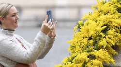 Giornata internazionale della donna, le iniziative nei musei e nei cinema italiani previste per domenica 8 marzo