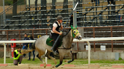 Super Rauco ad Ascoli, doppio podio al Torneo Storico Citt&agrave; della Quintana. Battuto solo dal fenomeno Innocenzi