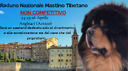 Dal 24 al 26 aprile c'&egrave; il raduno nazionale del mastino tibetano