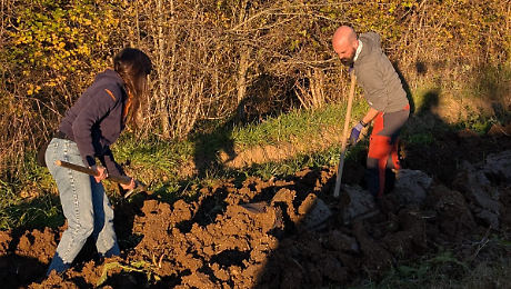 Il lavoro degli orti