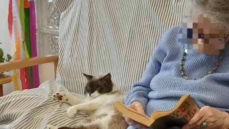 L'incredibile storia di Coffe: investito, salvato e poi adottato dagli anziani del Centro diurno Malpighi