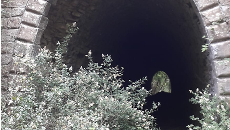 Una delle gallerie del vecchio trenino