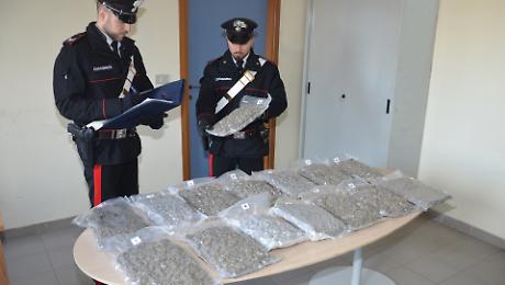 La marijuana recuperata