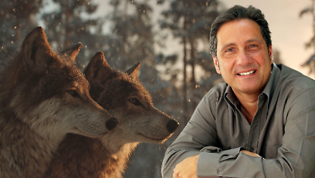 "Il lupo? Una benedizione. I veri predatori del pianeta siamo noi". Le stoccate di Mario Tozzi su fauna e clima