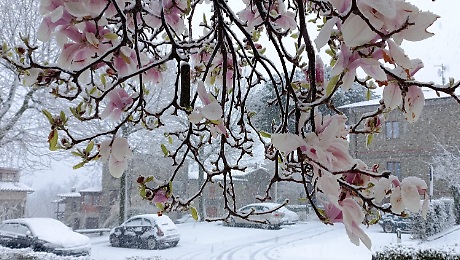 Neve a primavera: problemi sulle strade in Casentino e lungo la E45 nel tratto appenninico