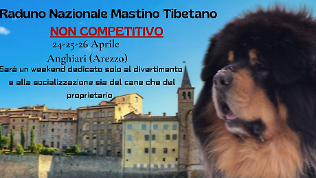 Dal 24 al 26 aprile c'&egrave; il raduno nazionale del mastino tibetano