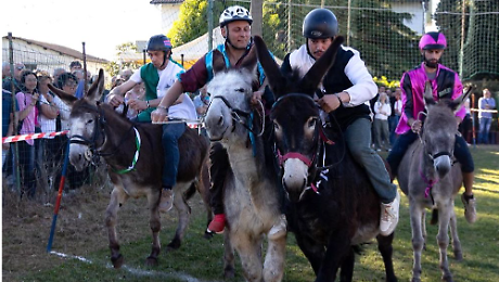 Quando a sfidarsi sono i somari: la Corsa delle micce a La Nave vinta da Montecchio
