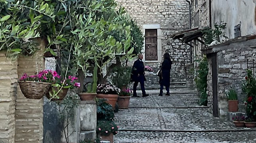 arrone terra fiore manifestazione