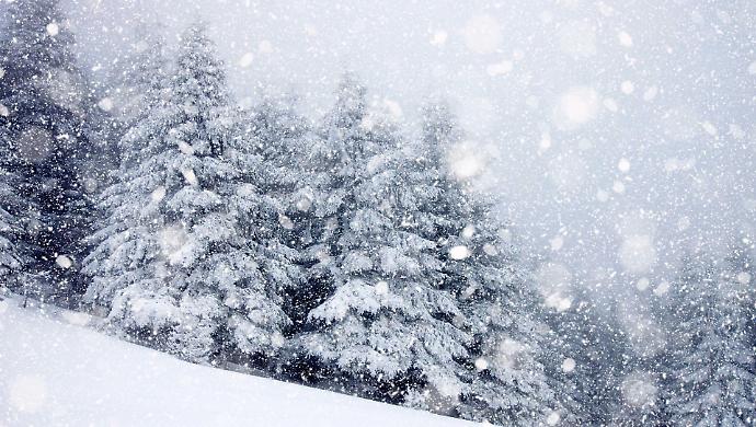 La neve torna a imbiancare i monti: quasi mezzo metro sull'Amiata. Freddo e pioggia anche nelle prossime 48 ore