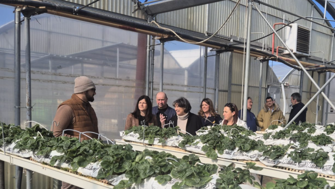 L'agricoltura ha bisogno dell'acqua di Montedoglio. L'azienda Peruzzi: "Colture fuori terra a rischio, servono risorse idriche di qualit&agrave;"